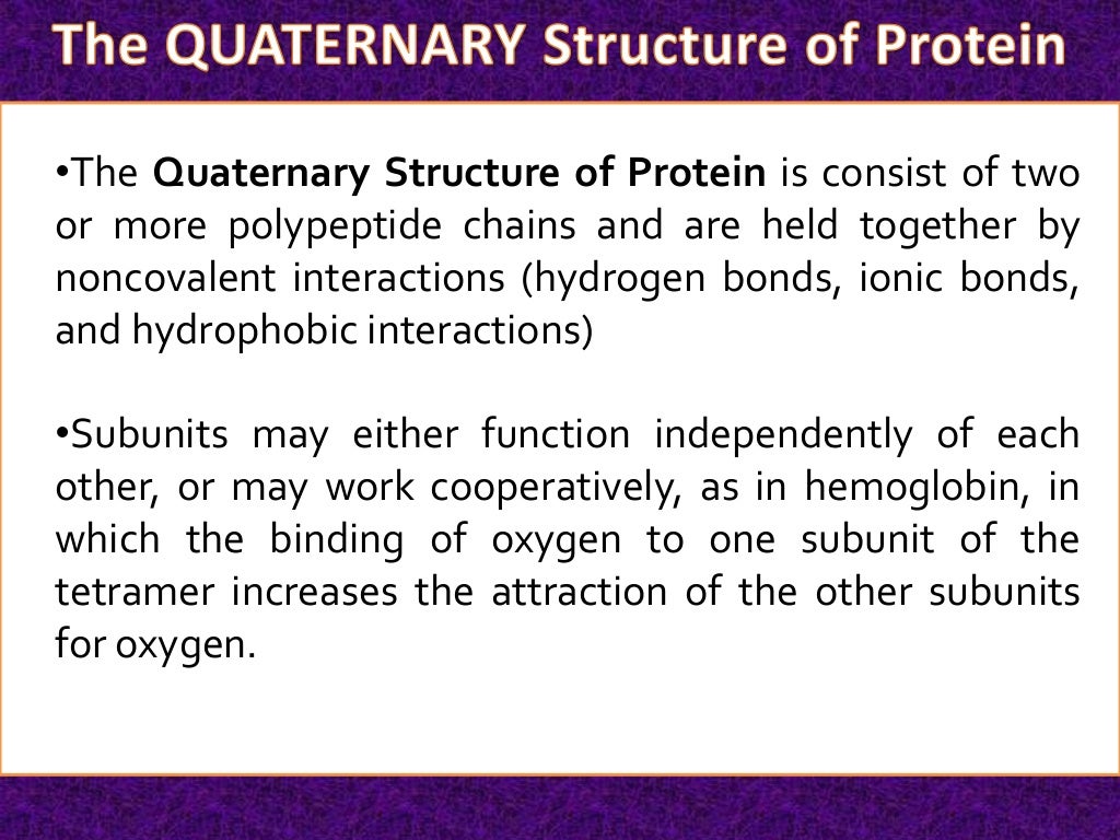 The Quaternary Structure of Protein