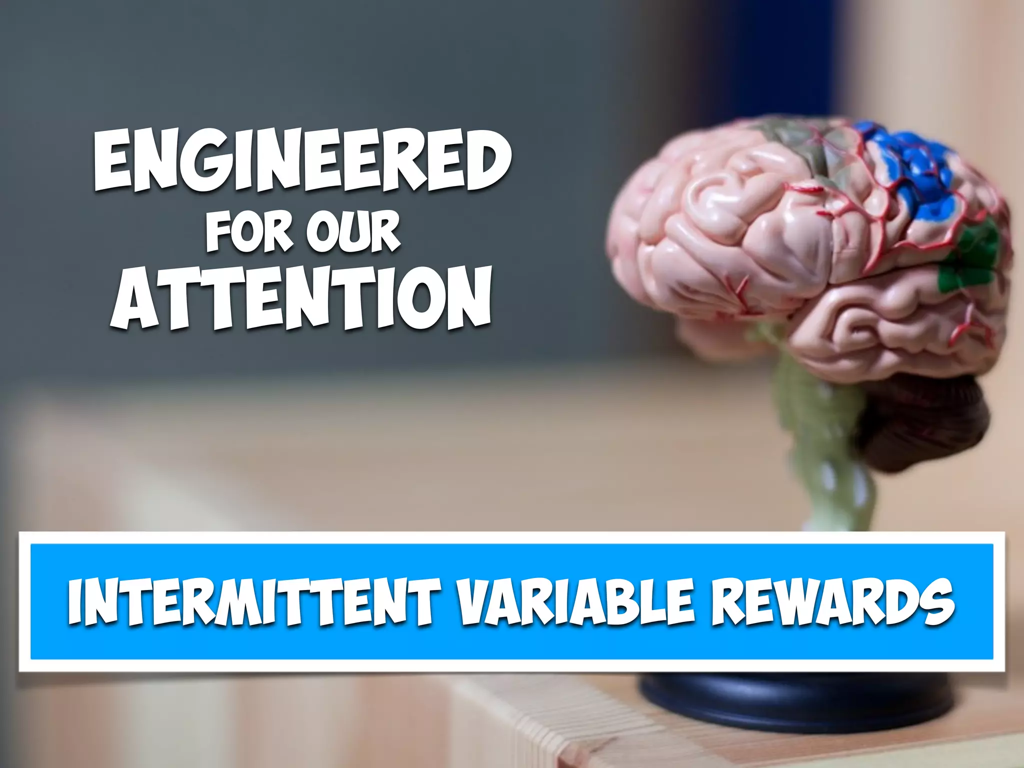 ENGINEERED
FOR OUR
Attention
Intermittent variable rewards
 