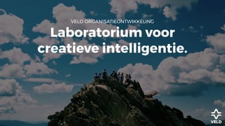 VELD ORGANISATIEONTWIKKELING
Laboratorium voor
creatieve intelligentie.
 