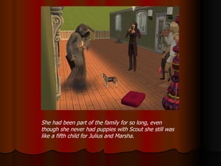 She had been part of the family for so long, even though she never had puppies with Scout she still was like a fifth child for Julius and Marsha. 