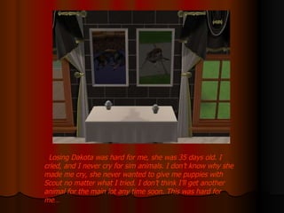 Losing Dakota was hard for me, she was 35 days old. I cried, and I never cry for sim animals. I don’t know why she made me cry, she never wanted to give me puppies with Scout no matter what I tried. I don’t think I’ll get another animal for the main lot any time soon. This was hard for me… 