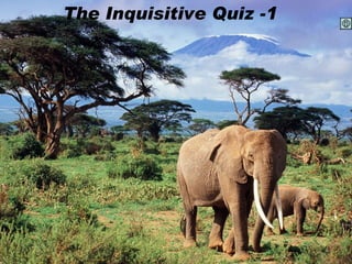 The Inquisitive Quiz -1 