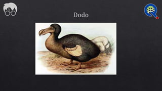 The Quiz That Lived - Mains