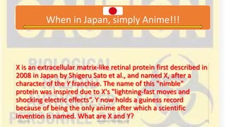 Animaze - The Anime Quiz Finals