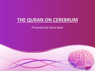 THE QURAN ON CEREBRUM
Presented by Sania Nasir
 