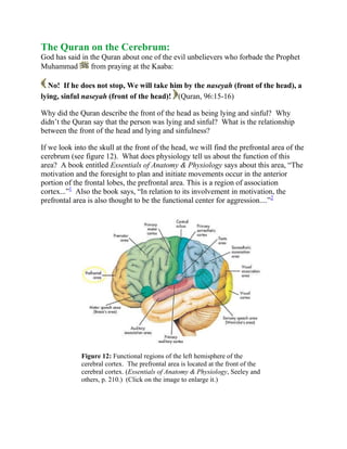 The Quran on the Cerebrum:God has said in the Quran about one of the evil unbelievers who forbade the Prophet Muhammad  from praying at the Kaaba: <br /> No!  If he does not stop, We will take him by the naseyah (front of the head), a lying, sinful naseyah (front of the head)!  (Quran, 96:15-16) <br />Why did the Quran describe the front of the head as being lying and sinful?  Why didn’t the Quran say that the person was lying and sinful?  What is the relationship between the front of the head and lying and sinfulness? <br />If we look into the skull at the front of the head, we will find the prefrontal area of the cerebrum (see figure 12).  What does physiology tell us about the function of this area?  A book entitled Essentials of Anatomy & Physiology says about this area, “The motivation and the foresight to plan and initiate movements occur in the anterior portion of the frontal lobes, the prefrontal area. This is a region of association cortex...” HYPERLINK quot;
http://www.islam-guide.com/ch1-1-d.htmquot;
  quot;
footnote1quot;
 1  Also the book says, “In relation to its involvement in motivation, the prefrontal area is also thought to be the functional center for aggression....” HYPERLINK quot;
http://www.islam-guide.com/ch1-1-d.htmquot;
  quot;
footnote2quot;
 2 <br />Figure 12: Functional regions of the left hemisphere of the cerebral cortex.  The prefrontal area is located at the front of the cerebral cortex. (Essentials of Anatomy & Physiology, Seeley and others, p. 210.)  (Click on the image to enlarge it.)<br />So, this area of the cerebrum is responsible for planning, motivating, and initiating good and sinful behavior and is responsible for the telling of lies and the speaking of truth.  Thus, it is proper to describe the front of the head as lying and sinful when someone lies or commits a sin, as the Quran has said, “...A lying, sinful naseyah (front of the head)!” <br />Scientists have only discovered these functions of the prefrontal area in the last sixty years, according to Professor Keith L. Moore. HYPERLINK quot;
http://www.islam-guide.com/ch1-1-d.htmquot;
  quot;
footnote3quot;
 3 <br />_____________________________<br />Footnotes:<br />(1) Essentials of Anatomy & Physiology, Seeley and others, p. 211.  Also see The Human Nervous System, Noback and others, pp. 410-411. <br />(2) Essentials of Anatomy & Physiology, Seeley and others, p. 211. <br />(3) Al-E’jaz al-Elmy fee al-Naseyah (The Scientific Miracles in the Front of the Head), Moore and others, p. 41. <br />