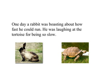 One day a rabbit was boasting about how
fast he could run. He was laughing at the
tortoise for being so slow.