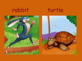 The rabbit and the turtle | PPTX