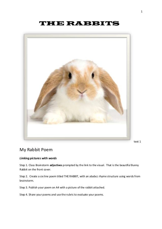 The rabbits slideshare