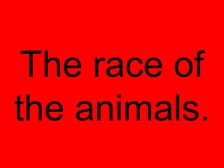 The race of
the animals.
 