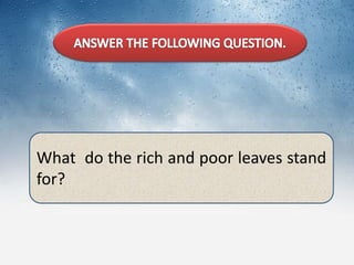 What do the rich and poor leaves stand
for?
 