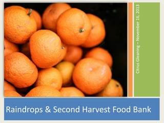 Citrus Gleaning – November 16, 2013

Raindrops & Second Harvest Food Bank

 