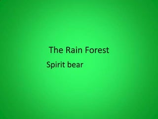 The Rain Forest
Spirit bear
 