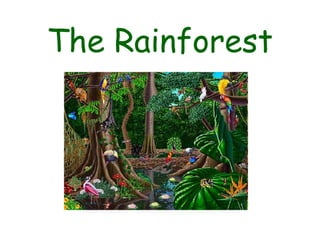 The Rainforest
 
