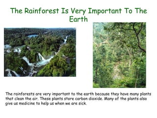 The Rainforest Is Very Important To The
                   Earth




The rainforests are very important to the earth because they have many plants
that clean the air. These plants store carbon dioxide. Many of the plants also
give us medicine to help us when we are sick.
 