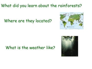 What did you learn about the rainforests?


 Where are they located?




  What is the weather like?
 