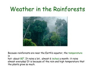 Weather in the Rainforests




Because rainforests are near the Earth’s equator, the temperature
is
hot- about 80°. It rains a lot, almost 6 inches a month- it rains
almost everyday! It is because of the rain and high temperature that
the plants grow so much.
 