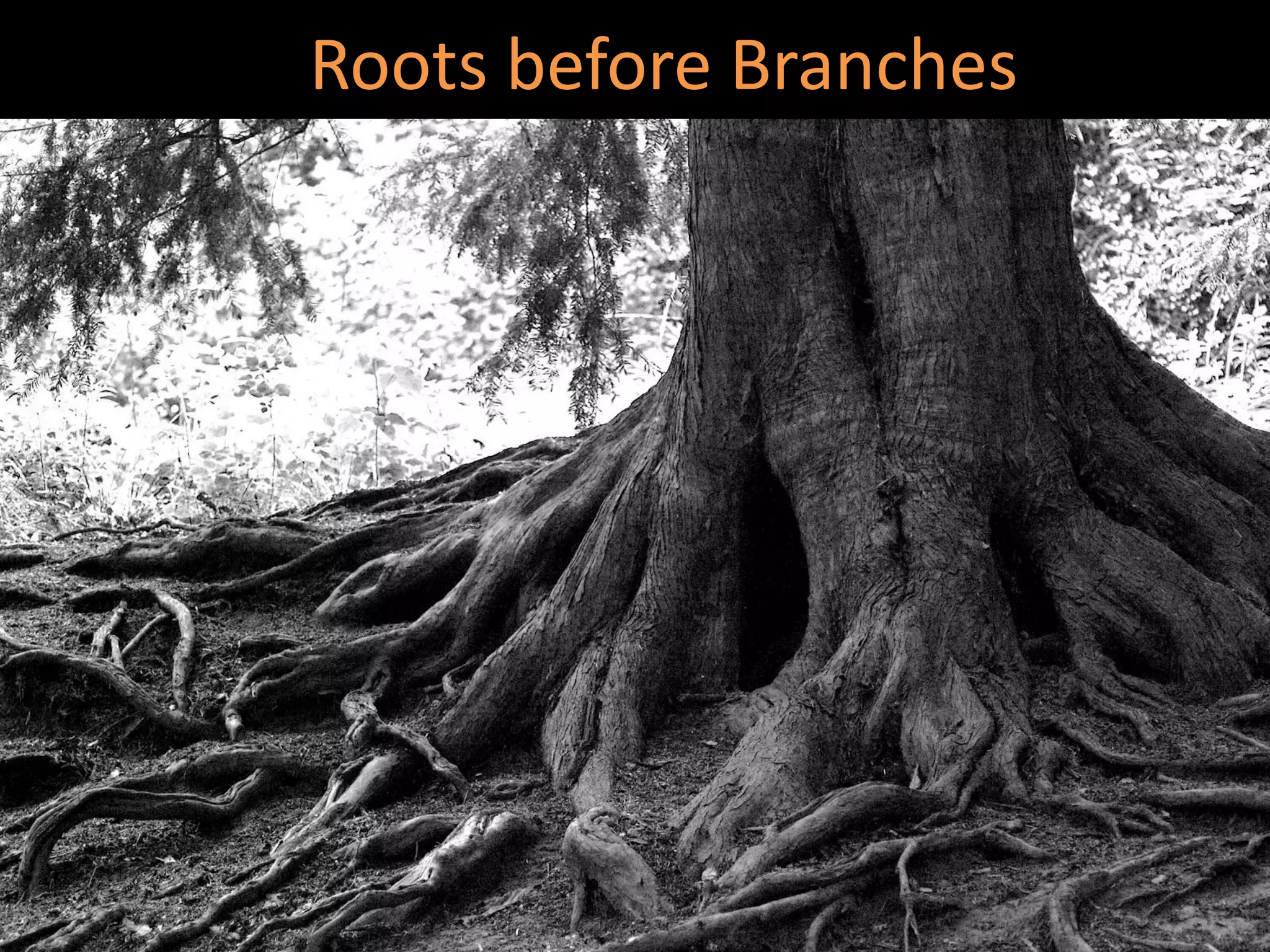 Roots before Branches
 