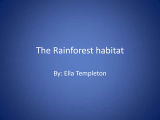 The Rainforest habitat

    By: Ella Templeton
 