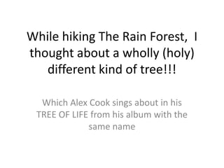 While hiking The Rain Forest, I
thought about a wholly (holy)
   different kind of tree!!!

  Which Alex Cook sings about in his
 TREE OF LIFE from his album with the
             same name
 
