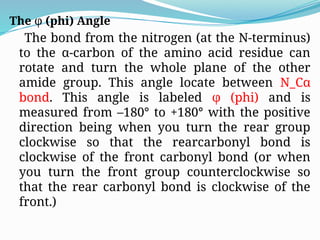 The φ (phi) Angle
The bond from the nitrogen (at the N-terminus)
to the α-carbon of the amino acid residue can
rotate and turn the whole plane of the other
amide group. This angle locate between N_Cα
bond. This angle is labeled φ (phi) and is
measured from –180° to +180° with the positive
direction being when you turn the rear group
clockwise so that the rearcarbonyl bond is
clockwise of the front carbonyl bond (or when
you turn the front group counterclockwise so
that the rear carbonyl bond is clockwise of the
front.)
 