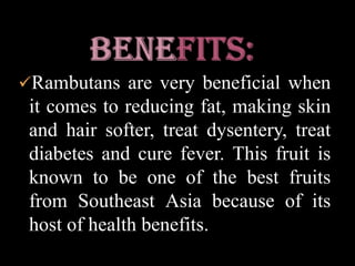   The single seed is glossy brown, 1–1.3 cm, with a white basal scar. The seed is soft and crunchy. They are mildly poisonous when raw, but may be cooked and eaten.Skin: Is reddish (rarely orange or yellow), and covered with fleshy pliable spines, hence the name Rambutan, derived from the Malay word rambut which means hairs..