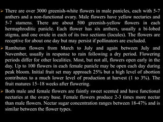 Another indicator of quality is the ease of detachment of the flesh from the seed. An easily detachable flesh normally will have bits of the woody seed coating. CULTIVATIONAndUSES