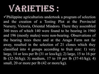 Most commercial cultivars are hermaphroditic (producing flowers that are female with a small percentage of male flowers); cultivars that produce only functionally female flowers require the presence of male trees. Male trees are seldom found as vegetative selection has favored hermaphroditic clones that produce a high proportion of functionally female flowers and a much lower number of flowers that produce pollen.There are over 3000 greenish-white flowers in male panicles, each with 5-7 anthers and a non-functional ovary. Male flowers have yellow nectaries and 5-7 stamens. There are about 500 greenish-yellow flowers in each hermaphroditic panicle. Each flower has six anthers, usually a bi-lobed stigma, and one ovule in each of its two sections (locules). The flowers are receptive for about one day but may persist if pollinators are excluded.
