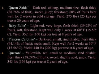 Rambutan flowers from March to July and again between July and November, usually in response to rain following a dry period. Flowering periods differ for other localities. Most, but not all, flowers open early in the day. Up to 100 flowers in each female panicle may be open each day during peak bloom. Initial fruit set may approach 25% but a high level of abortion contributes to a much lower level of production at harvest (1 to 3%). The fruit matures 15–18 weeks after flowering.