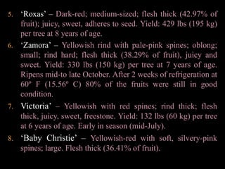 Both male and female flowers are faintly sweet scented and have functional nectaries at the ovary base. Female flowers produce 2-3 times more nectar than male flowers. Nectar sugar concentration ranges between 18-47% and is similar between the flower types.Cross-pollination is a necessity because pollen is absent in most functionally female flowers. Although apomixis may occur in some cultivars, research has shown that Rambutan, like lychee, is dependent upon insects for pollination. In Malaysia, where only about one percent of the female flowers set fruit, research revealed that no fruit is set on bagged flowers while hand pollination resulted in 13 percent fruit set. These studies further suggest that pollinators may maintain a fidelity to either male or hermaphroditic flowers (trees), thus limiting pollination and fruit set under natural conditions where crossing between male and female flowers is required.CULTIVARS:There are well over 200 cultivars developed from selected clones available throughout tropical Asia. Most of the cultivars are also selected for compact growth reaching a height of only 3-5 m for easier harvesting.