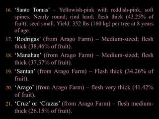 ‘Governor Infantada’ – Oblong, very large; rind pliable; flesh thick (39.28% of fruit), juicy, sweet and slightly acid; adheres tightly to seed. Yield: 330 lbs (150 kg) per tree at 6 years of age. Fruits keep only 1 week at 60º F (15.56º C).‘Laurel, Sr.’ – Pinkish-red, small; flesh thick (39.76% of fruit). Tree very low-growing, spreading.‘Fortich’ – Yellowish-red; medium-sized; flesh thick (40.95% of fruit); juicy, sweet; freestone. Early in season.