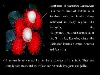 Rambutan (or Nephelium Lappaceum) is a native fruit of Indonesia in Southeast Asia, but is also widely cultivated in many regions like Malaysia, the Philippines, Thailand, Cambodia, India, Sri Lanka, Ecuador, Africa, the Caribbean islands, Central America and Australia.