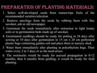 Cuttings have been rooted experimentally under mist and with the use of growth-promoting hormones, but this technique is not being practiced. Air-layering may at first appear successful, but many air-layers die after being transplanted into 5-gal containers, or, later, in the field, long after separation from the mother tree.Marching is very effective onto 5- to 9-month-old seedlings of rambutan or of pulasan (N. mutabile L.), but is a rather cumbersome procedure. After 2 or 3 months, the scion is notched 3 times over a period of 2 weeks and then severed from the parent tree. Cleft-, splice-, and side-grafting are not too satisfactory. Patch-budding is preferred as having a much greater rate of success. Seedlings for use as rootstocks are taken from the seedbed after 45 days and transplanted into 1-quart cans with a mixture of 50% cured manure and later transferred to 5 gal containers. In Oriental Mindoro Province, if the budding is done in the month of May, they can achieve 83.6% success; if done in June and July, 82%. Budded trees flower 2 1/2 to 3 years after planting in the field.Preparation of Planting Materials:1. Select well-developed seeds from mature/ripe fruits of the recommended varieties/selection.2. Remove mucilage from the seeds by rubbing them with fine sawdust, ash or old newspaper.3. Germinate the seeds immediately after extraction in light loamy soils or in germination beds made up of sawdust.4. Germinated seedlings should be ready for potting in 24 days after sowing or 10 days after germination in 15 cm x 20 cm perforated plastic bags containing garden soil and place them in nursery shed.5. Water them immediately after planting in polyethylene bags. Then water every 2 to 3 days or as the need arises.6. The rootstocks would be ready for asexual propagation in 8-12 months; then 6 months from grafting, it would be ready for field planting.
