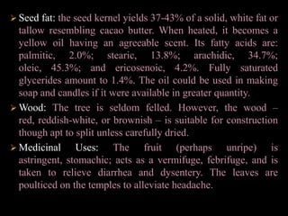 Damping-off- Spray with Benlate