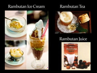 Seed fat: the seed kernel yields 37-43% of a solid, white fat or tallow resembling cacao butter. When heated, it becomes a yellow oil having an agreeable scent. Its fatty acids are: palmitic, 2.0%; stearic, 13.8%; arachidic, 34.7%; oleic, 45.3%; and ericosenoic, 4.2%. Fully saturated glycerides amount to 1.4%. The oil could be used in making soap and candles if it were available in greater quantity.