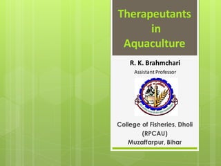 R. K. Brahmchari
Assistant Professor
College of Fisheries, Dholi
(RPCAU)
Muzaffarpur, Bihar
Therapeutants
in
Aquaculture
 
