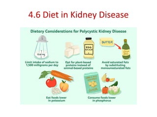 4.6 Diet in Kidney Disease
 