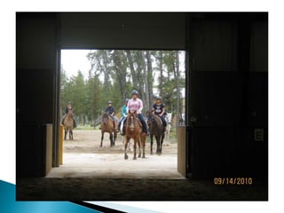 Therapeutic activity planning jan222013