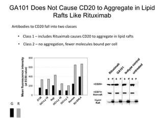 GA101 Does Not Cause CD20 to Aggregate in Lipid
Rafts Like Rituximab
Antibodies to CD20 fall into two classes
• Class 1 – ...
