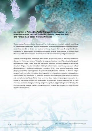 CREATIVE BIOLABS • RECOMBINANT ANTIBODY
45-1 Ramsey Road, Shirley, NY 11967, USA
Email: info@creative-biolabs.com
4 / 20
Mechanism of Action (MoAs) for Therapeutic Antibodies – provide
novel therapeutic monoclonal antibodies discovery direction
and various mAb-based therapy strategies
The complexity of cancer and other diseases calls for the development of multiple antibody‐based drugs
for even a single disease target. With the development of genetic engineering and screening methods,
researchers are able to design and engineer antibody drug on the basis of comprehending the
mechanisms of action (MoAs) of therapeutic antibodies. A better understanding of antibody‐based
MoAs have led to the expansion of pharmaceuticals with increased potency and greater precision.
Antibody‐based drugs work via multiple mechanisms, recapitulating some of the many mechanisms
observed in the immune system. The ability to design and engineer novel Ab molecules has greatly
expanded their range. Known MoAs for therapeutic antibodies include(i) blocking or neutralizing:
disruption of ligand–receptor interaction; (ii) target cell elimination via antibody‐dependent cellular
cytotoxicity(ADCC), complement‐dependent cytotoxicity (CDC), and antibody‐dependent cellular
phagocytosis (ADCP); (iii) engagement of cytotoxicT cell by bispecific antibodies or chimeric antigen
receptor T cells (cart cells); (iv) receptor down regulation by enhanced internalization and degradation;
and(v) targeted drug delivery (Fig. 2). Antitumor antibodies can target tumors either directly or indirectly
and exemplify many of these MoAs. Here, we review these mechanisms using some examples of a
number of therapeutic antibody drug development strategies used in cancer treatment (Fig. 2).There
are various evaluated strategies, including using immunoglobulin G (IgG) to target cancer directly, alter
the host response to cancer, deliver cytotoxic substances to cancer and retarget the cellular immune
response towards cancer.
 