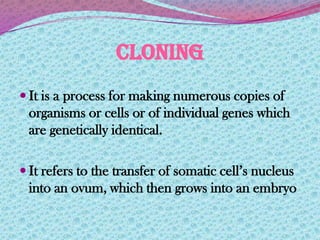Cloning Process