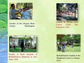 Rehabilitation Garden at the
Shepherd Centre in Atlanta,
USA
Garden at Mount Zion
Cancer Clinic San
Francisco, USA.
Garden at Rusk Institute of
Rehabilitative Medicine in New
York, USA
Garden of the Oregon Burn
Centre, Washington
 