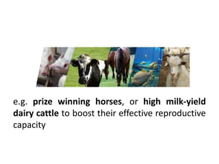 e.g. prize winning horses, or high milk-yield
dairy cattle to boost their effective reproductive
capacity
 