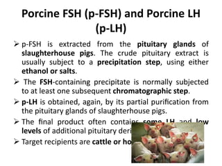 Porcine FSH (p-FSH) and Porcine LH
(p-LH)
 p-FSH is extracted from the pituitary glands of
slaughterhouse pigs. The crude pituitary extract is
usually subject to a precipitation step, using either
ethanol or salts.
 The FSH-containing precipitate is normally subjected
to at least one subsequent chromatographic step.
 p-LH is obtained, again, by its partial puriﬁcation from
the pituitary glands of slaughterhouse pigs.
 The ﬁnal product often contains some LH and low
levels of additional pituitary derived proteins
 Target recipients are cattle or horses
 