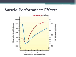 Muscle Performance Effects
 