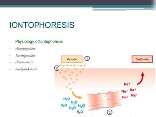 IONTOPHORESIS
• Physiology of Iontophoresis
• electromigration
• Electroporation
• electroosmosis
• ionohydrokinesis
 