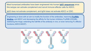 Therapeutic Monoclonal Antibodies Against Cancer_ Present and Future.pdf