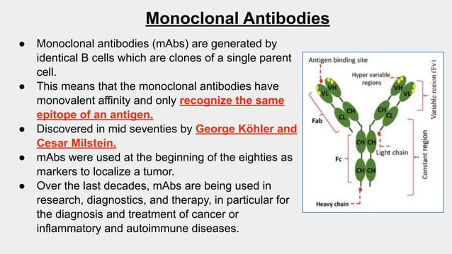 Therapeutic Monoclonal Antibodies Against Cancer_ Present and Future.pdf