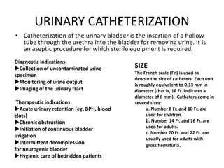 URINARY CATHETERIZATION
• Catheterization of the urinary bladder is the insertion of a hollow
tube through the urethra into the bladder for removing urine. It is
an aseptic procedure for which sterile equipment is required.
Diagnostic indications
Collection of uncontaminated urine
specimen
Monitoring of urine output
Imaging of the urinary tract
Therapeutic indications
Acute urinary retention (eg, BPH, blood
clots)
Chronic obstruction
Initiation of continuous bladder
irrigation
Intermittent decompression
for neurogenic bladder
Hygienic care of bedridden patients
SIZE
The French scale (Fr.) is used to
denote the size of catheters. Each unit
is roughly equivalent to 0.33 mm in
diameter (that is, 18 Fr. indicates a
diameter of 6 mm). Catheters come in
several sizes:
a. Number 8 Fr. and 10 Fr. are
used for children.
b. Number 14 Fr. and 16 Fr. are
used for adults.
c. Number 20 Fr. and 22 Fr. are
usually used for adults with
gross hematuria.
 