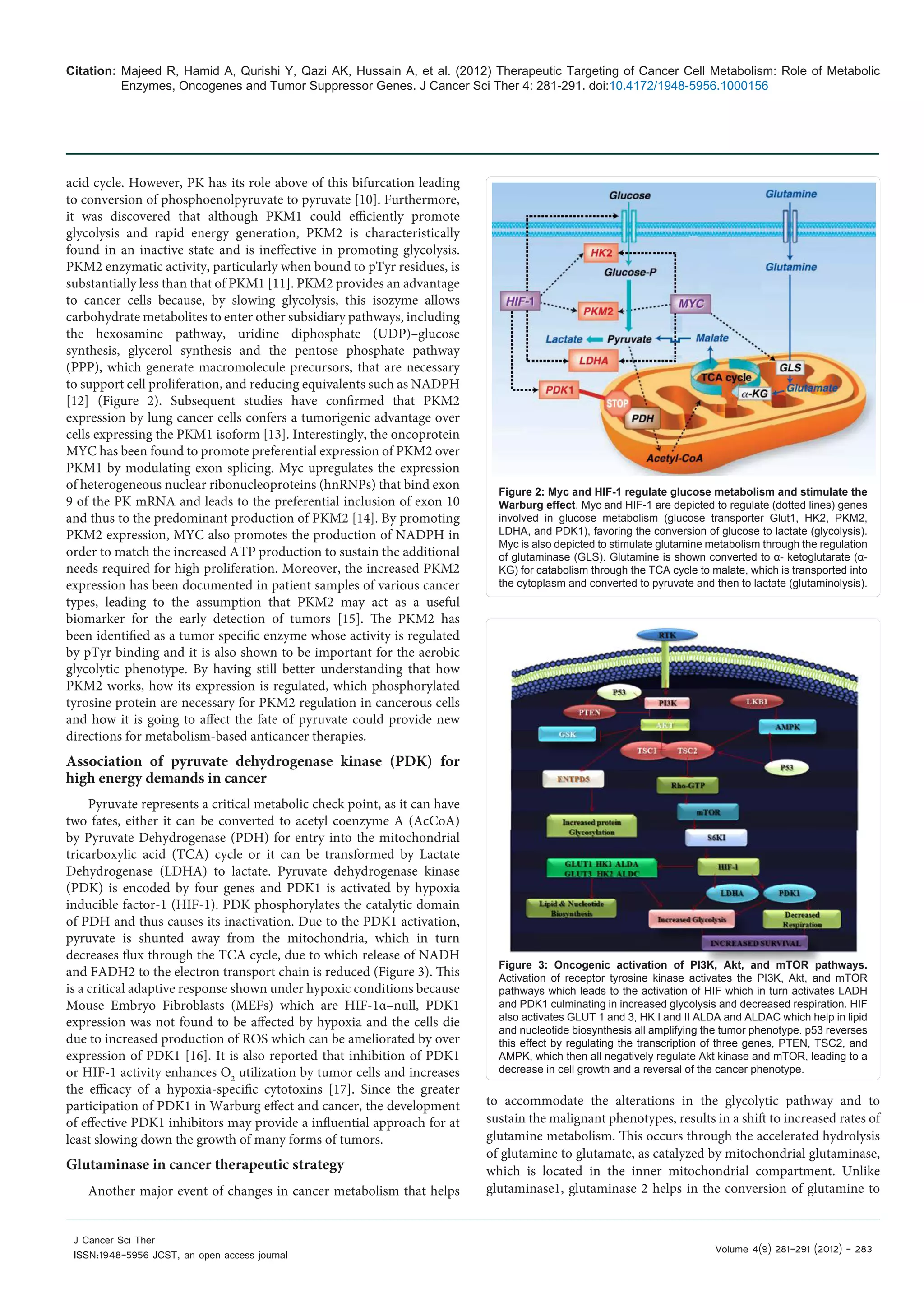 Therapeutic targeting of cancer cell metabolism --role of metabolic ...